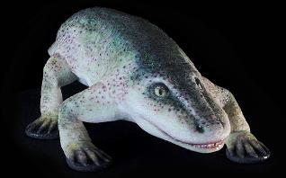 Eryops model from Paleozoo Evolutionary Models by Bruce Currie