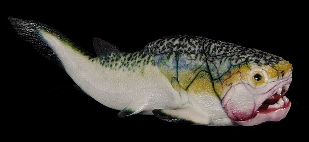 Gogo Fish model from Paleozoo Evolutionary Models by paleoartist Bruce Currie