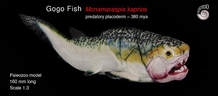 Gog Fish Mcnamaraspis lateral view from Paleozoo Evolutionary Models by Bruce Currie