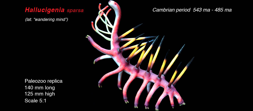 Hallucigenia sparsa model lateral view from Paleozoo by Bruce Currie